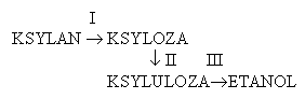 0x08 graphic