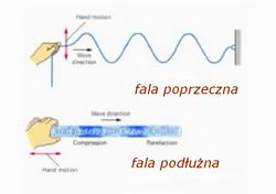 Rodzaje fal