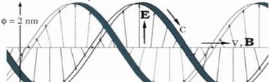 prędkości w DNA