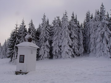 turbacz zimą