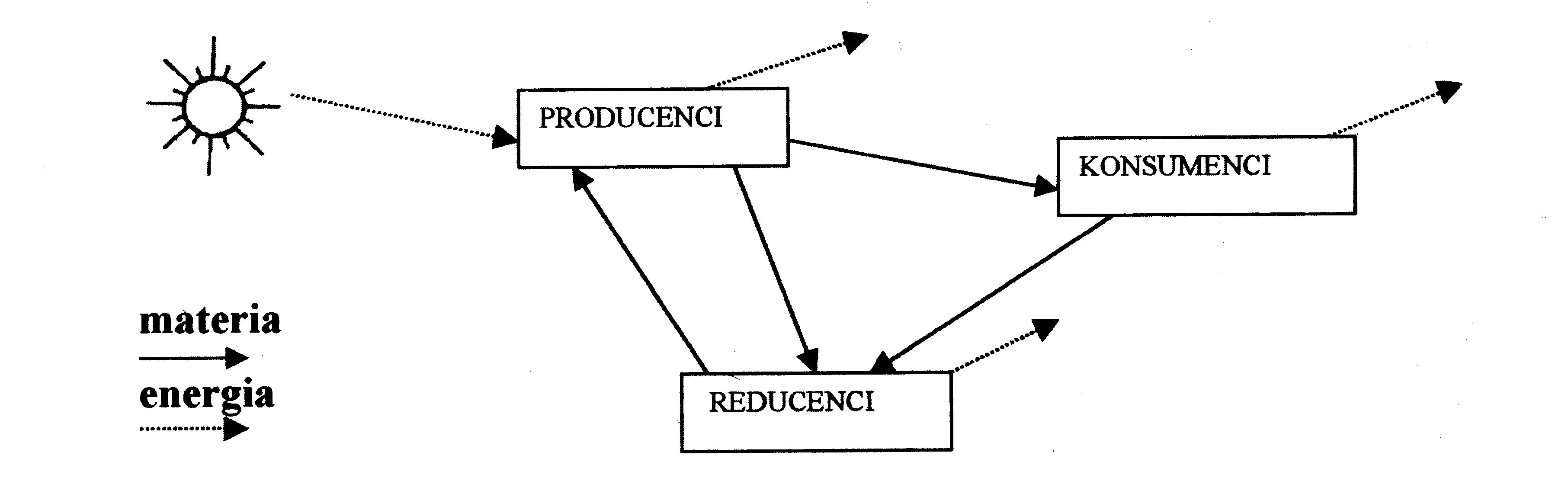 0x08 graphic