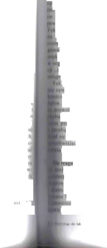 0x08 graphic