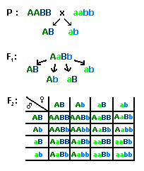 0x08 graphic