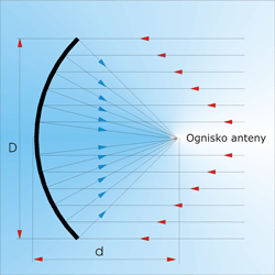 0x08 graphic