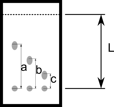 0x08 graphic