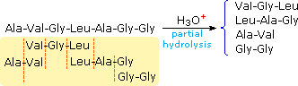 0x08 graphic