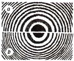 0x08 graphic