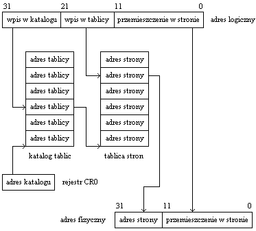 0x08 graphic