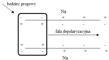 0x08 graphic