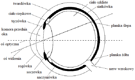 0x08 graphic