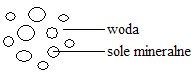 0x08 graphic