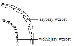 0x08 graphic