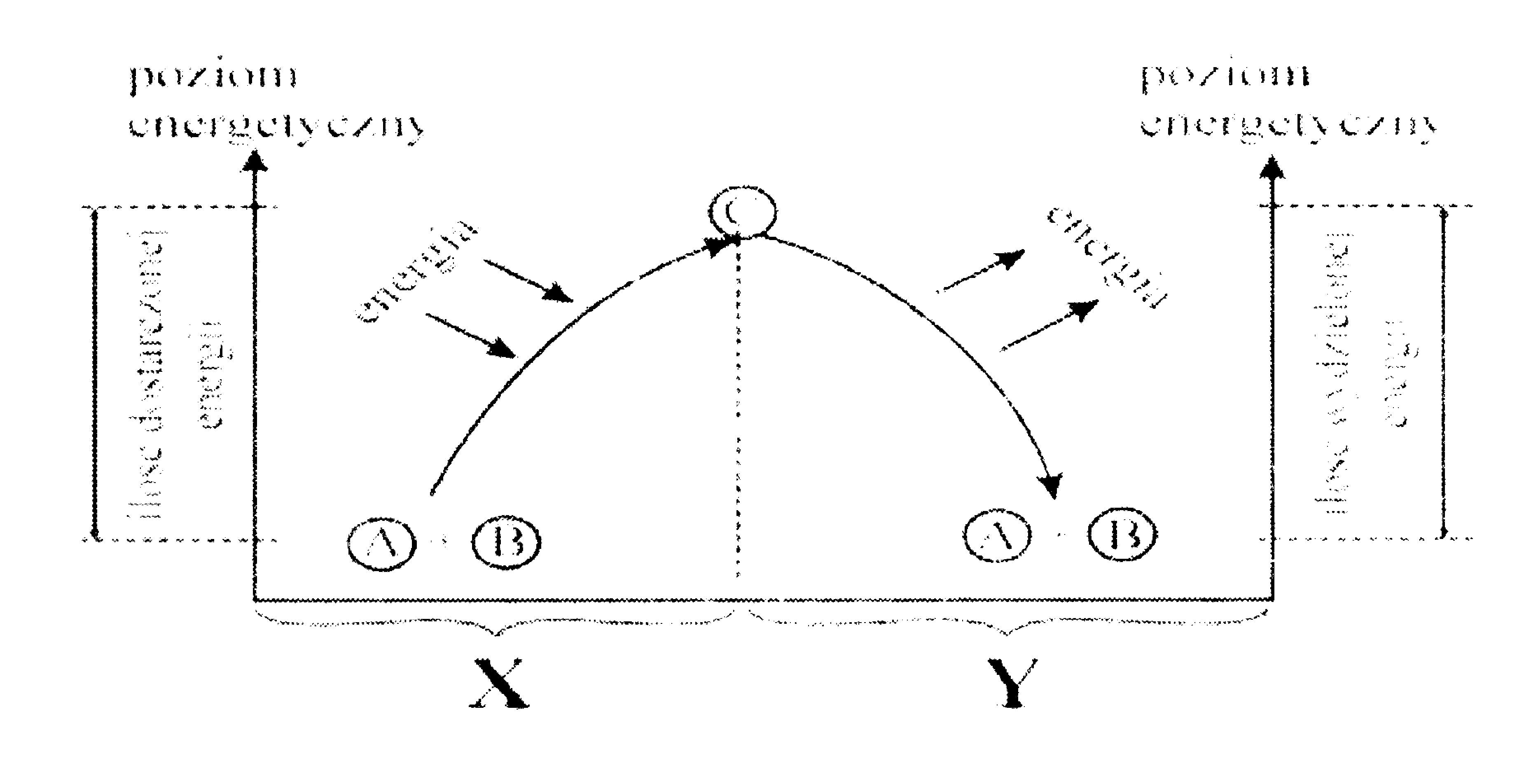 0x08 graphic