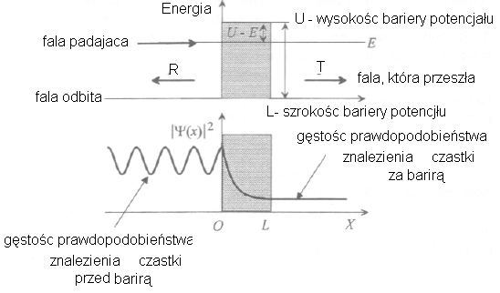 0x08 graphic