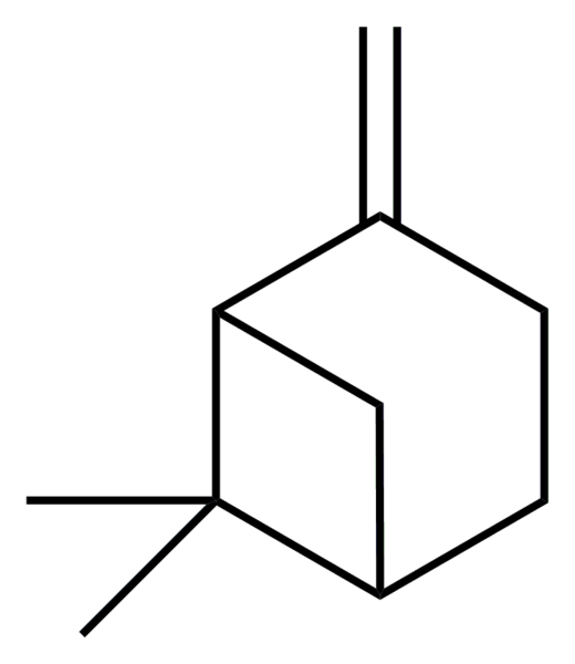 0x08 graphic