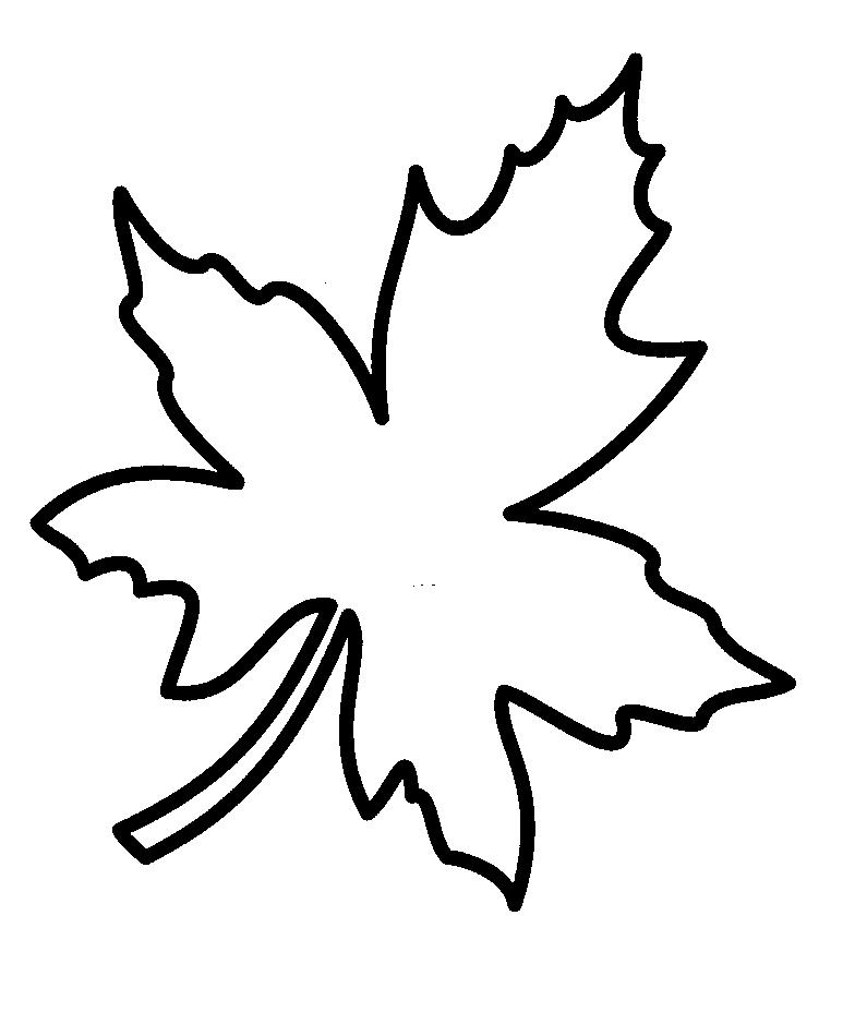 0x08 graphic