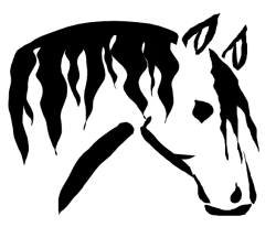 0x08 graphic