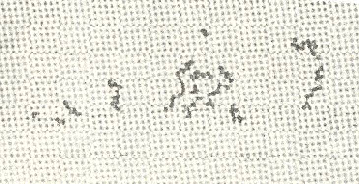 0x08 graphic