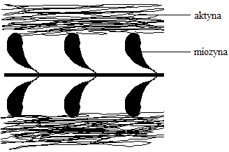 0x08 graphic