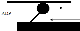 0x08 graphic