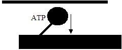 0x08 graphic