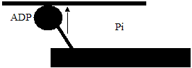 0x08 graphic