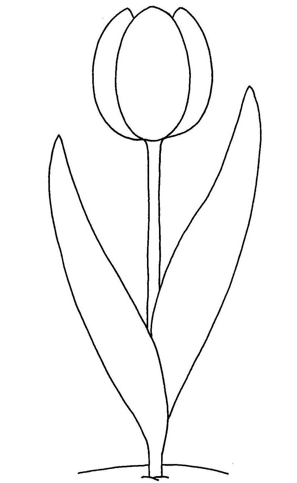 0x08 graphic