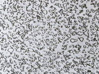 0x08 graphic