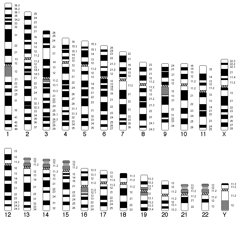 0x08 graphic