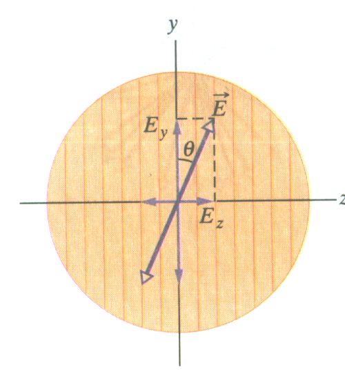 0x08 graphic