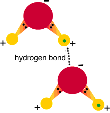 0x08 graphic