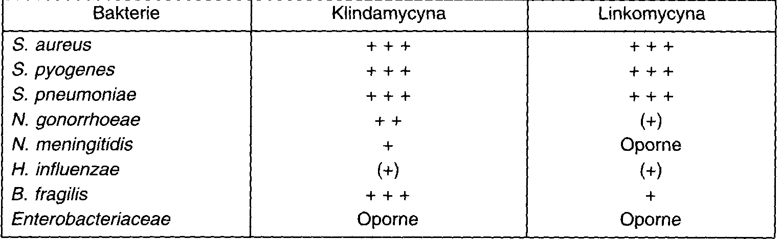 0x08 graphic