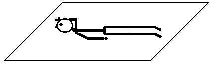 0x08 graphic