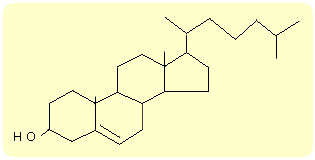 0x08 graphic