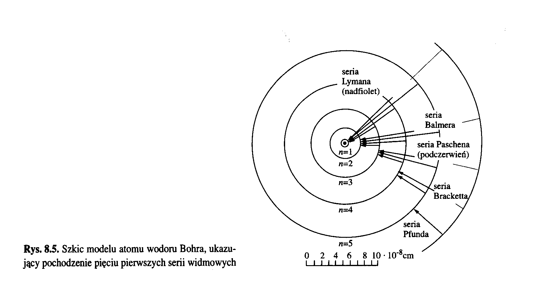 0x08 graphic