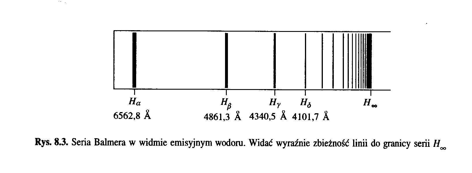 0x08 graphic