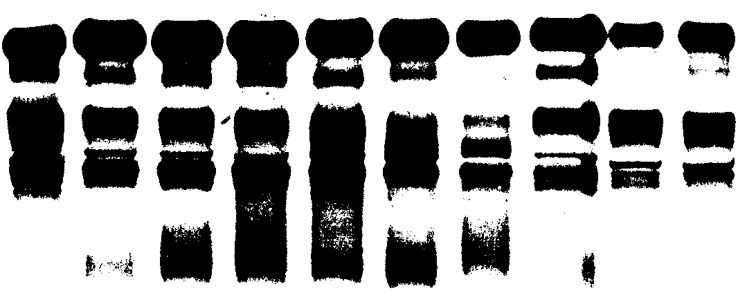 0x08 graphic