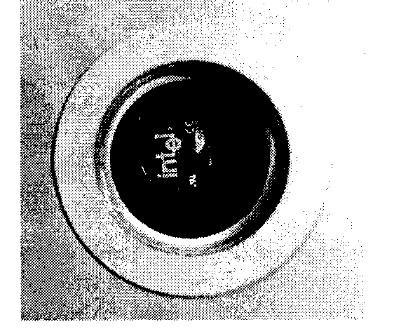 0x08 graphic