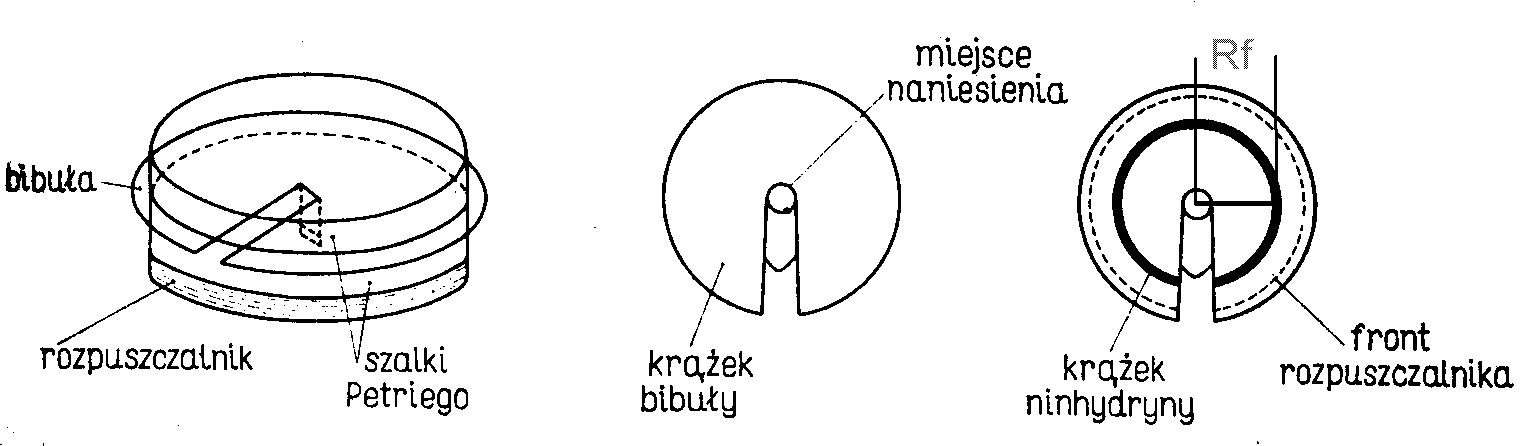 0x08 graphic