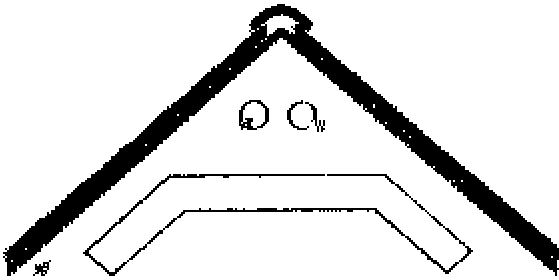 0x08 graphic