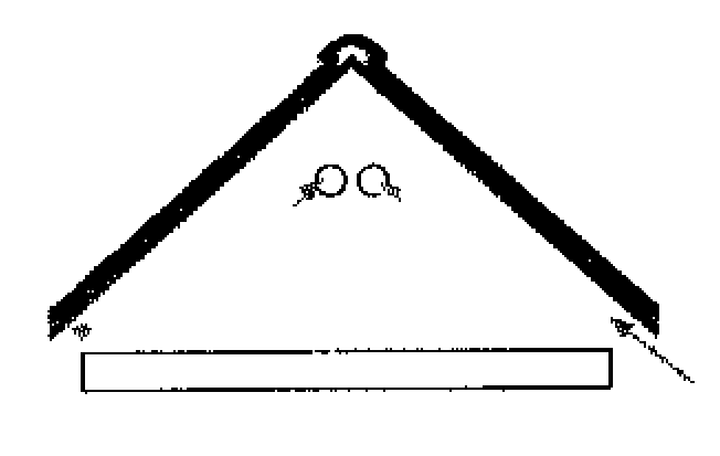 0x08 graphic