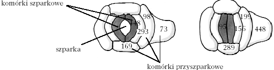 0x08 graphic