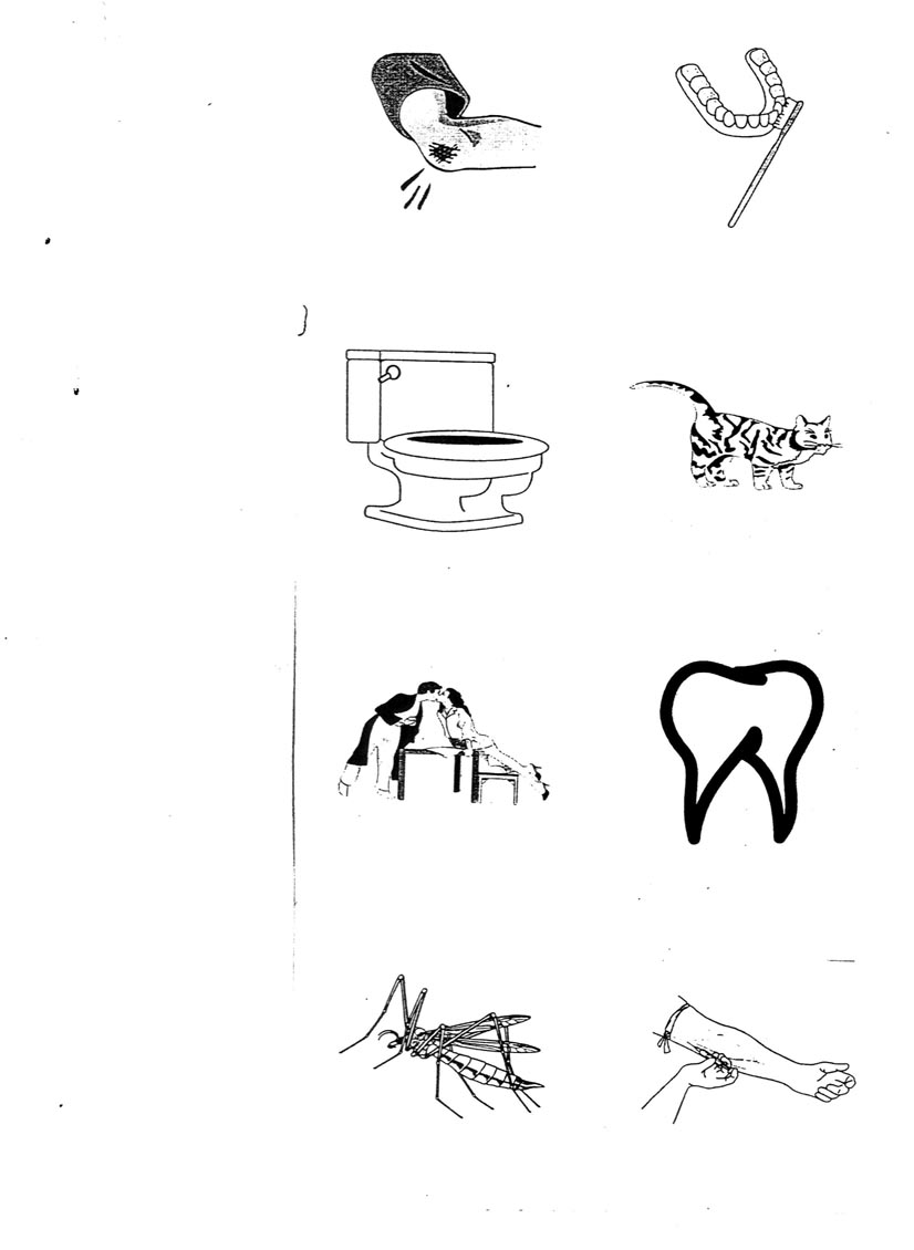 0x08 graphic