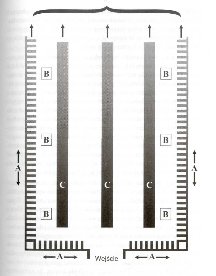 0x08 graphic