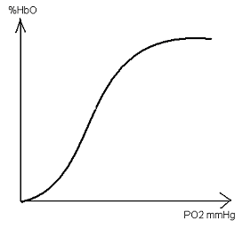 0x08 graphic