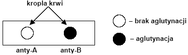 0x08 graphic