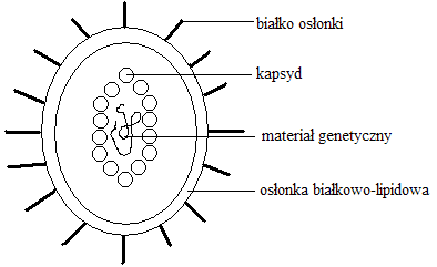 0x08 graphic