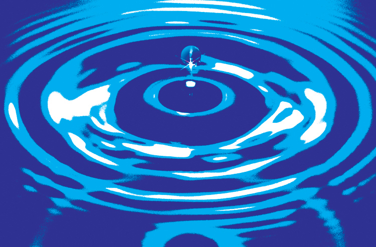 0x08 graphic