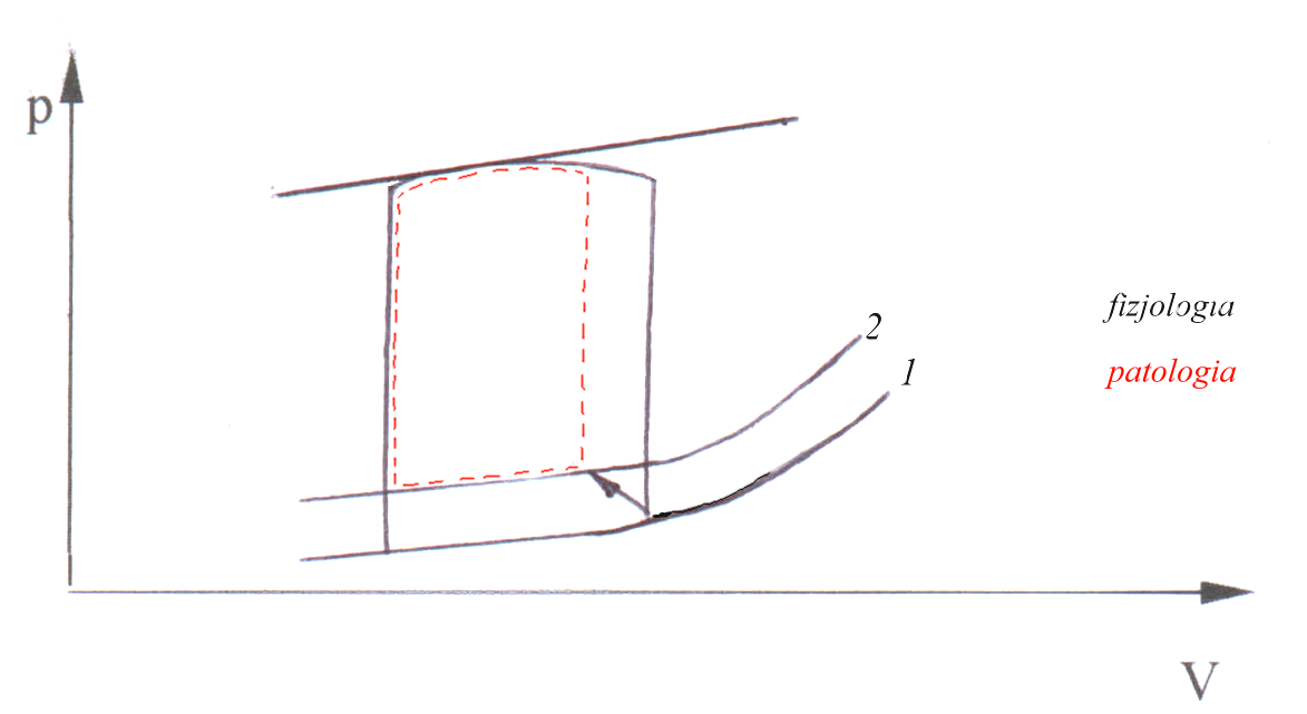 0x08 graphic