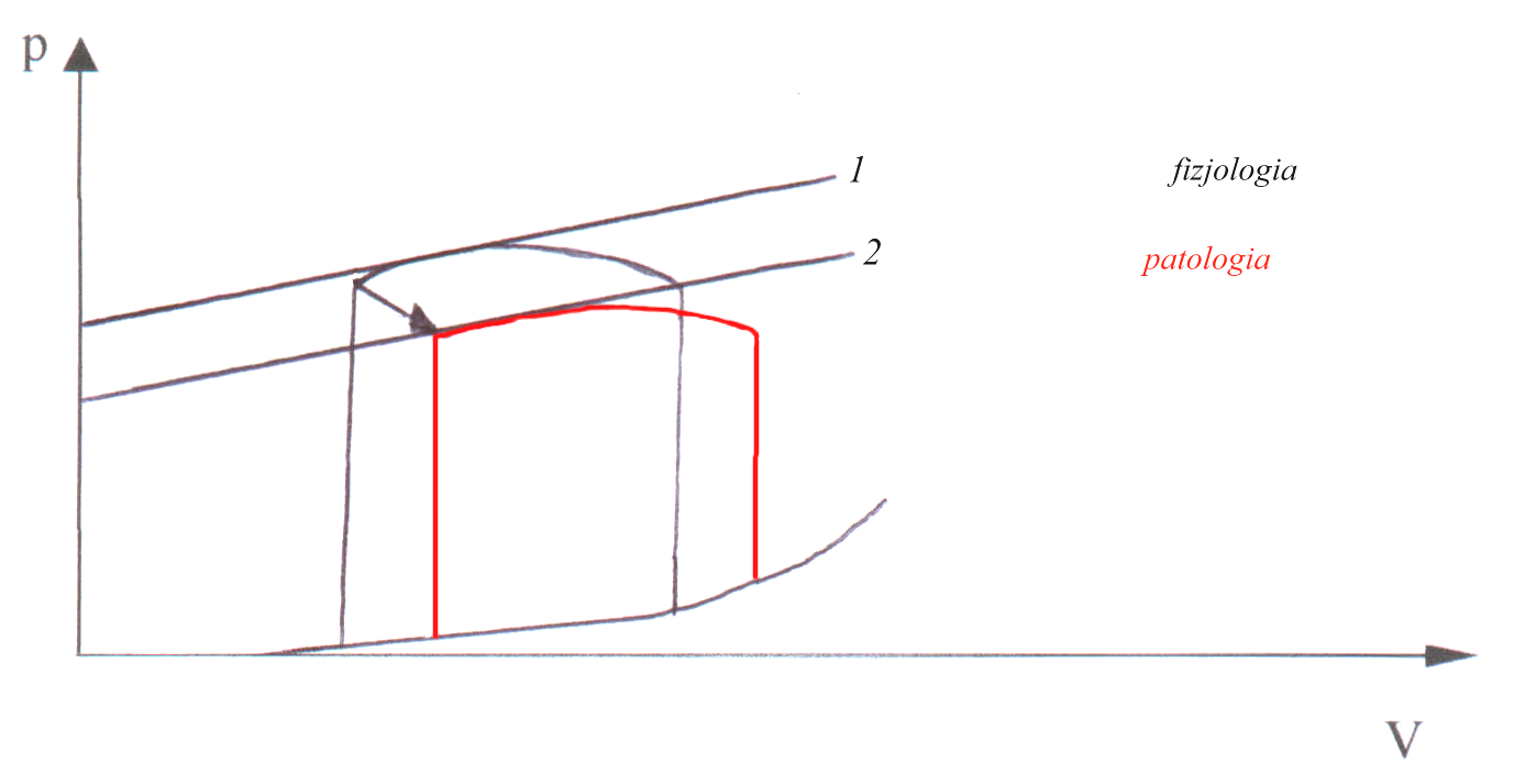 0x08 graphic